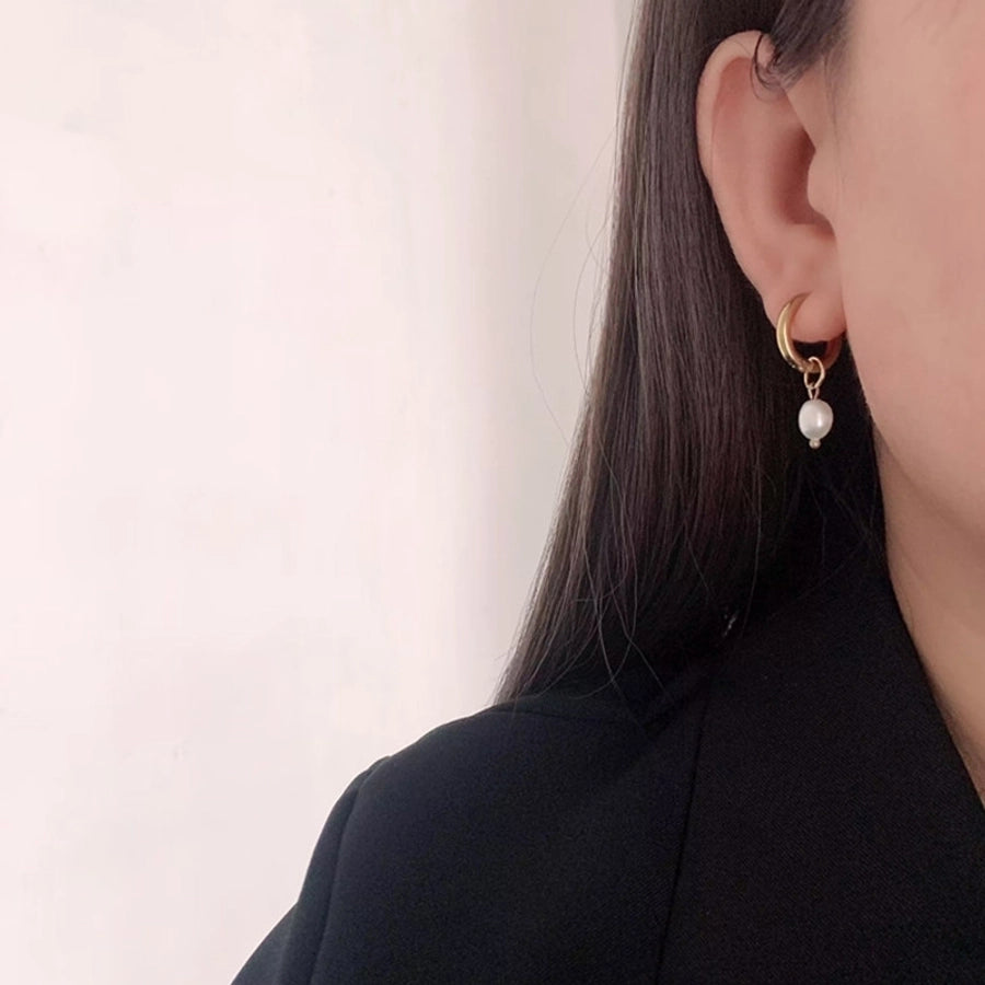 titanium steel drop earrings