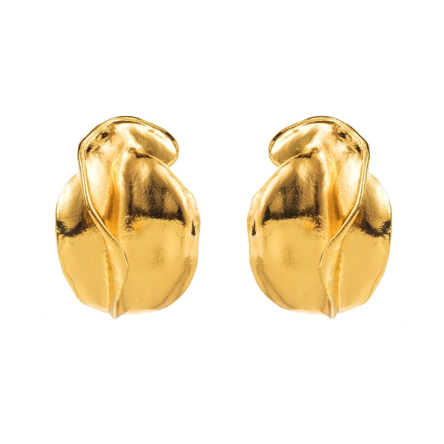 Cool Style Earrings
