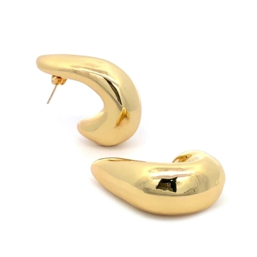 Stainless Steel 18K Earrings
