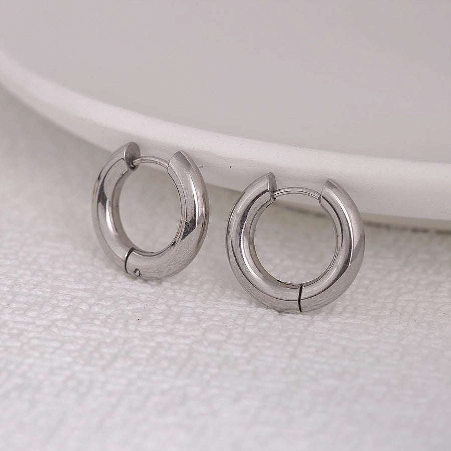 Stainless Steel Earrings