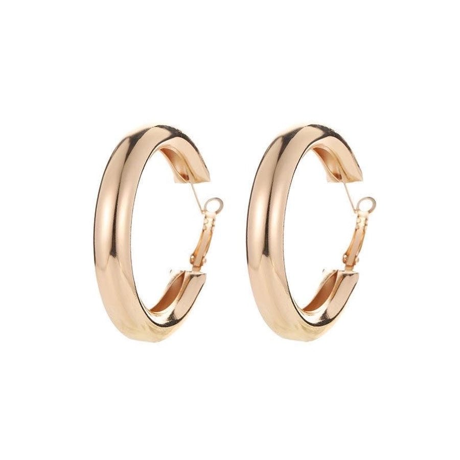 Geometric Plating Metal No Inlaid Drop Earrings
